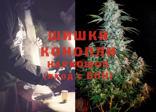 спиды Ладушкин