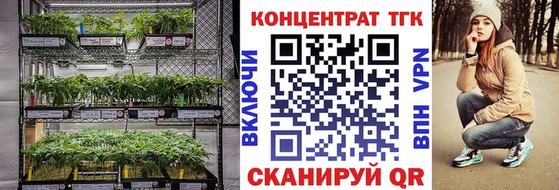 ТГК гашишное масло  Иланский 